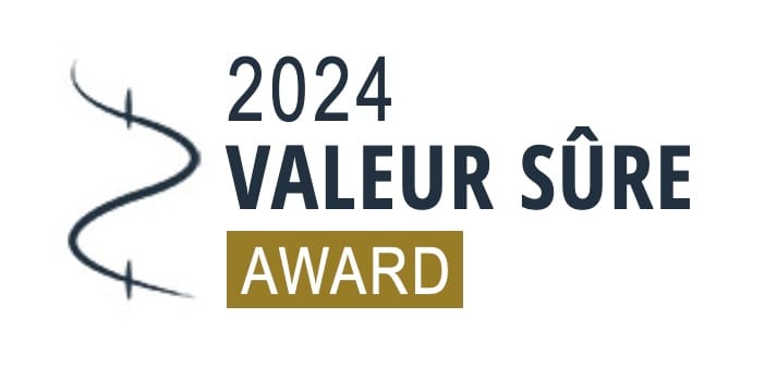 synthx-v-audio-fanzine-valeur-sure-2024