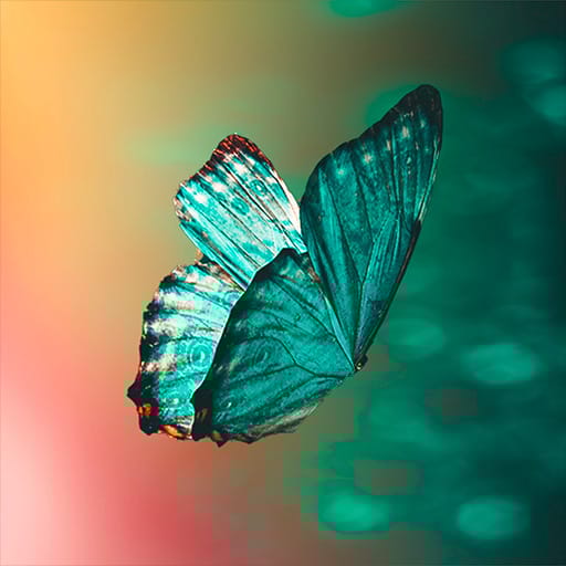 Amon Tobin Tribute