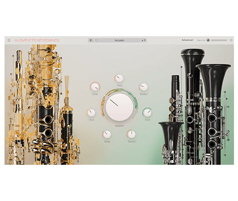 Augmented WOODWINDS