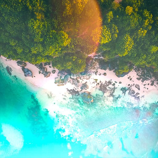 Dream Tides