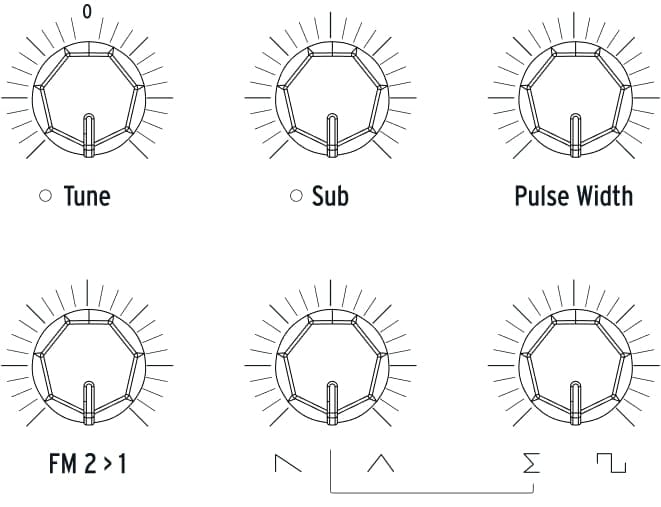 polybrute oscillators